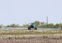 States, FTC secure settlement in suit against Corteva pesticide loyalty programs