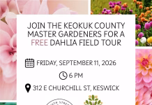 Keokuk County Master Gardeners Hosting Free Dahlia Field Tour in Keswick Friday