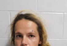 Southeast Iowa Woman Faces Multiple Felony Charges in Two Separate Theft Investigations