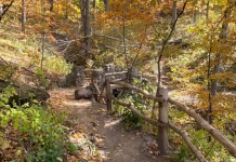 11 Iowa Hikes to Enjoy This Fall