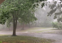 Forecast indicates at least 1.5 inches of rain expected statewide over next week