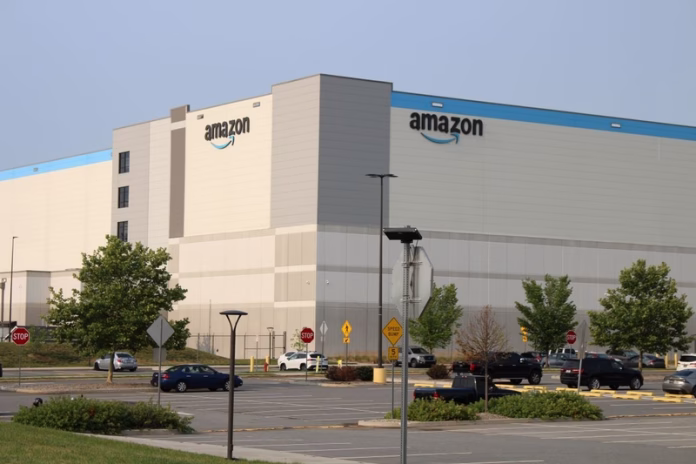 amazon-boxwood-crop-web1784110154