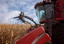 Clock ticking for Corn Belt farmers stranded by rain