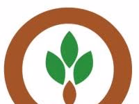 Grain Futures See Broad Declines in Tuesday Trading