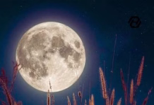 Harvest Moon to Light Up Fall Skies