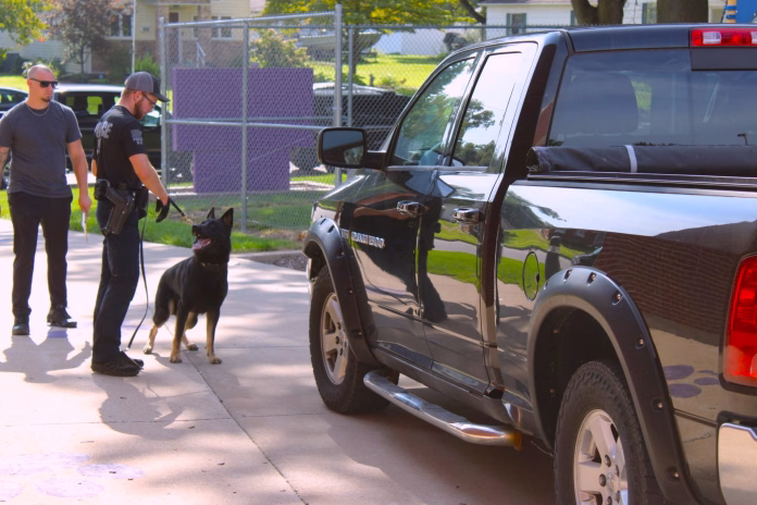 k-9 photo