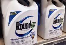 Federal agencies to collaborate to ‘strengthen’ review of glyphosate
