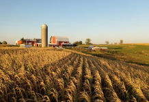 Farm Safety Changes As Families Age