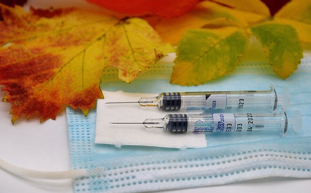 vaccination-7532559_640