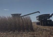 Soggy fields hold back harvest progress in Iowa, USDA says