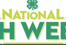 Celebrating Iowa 4H from calves and canning to astronomy and robots