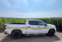 Deer Causes Vehicle Collision in Henry County