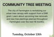 Farmington to Host Community Meeting on Urban Tree Canopy Revitalization Today