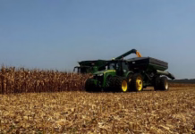 Analyst expects modest yield changes in October USDA report