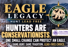 ‘Eagle Legacy’ campaign urging Iowa hunters to use lead-free ammo