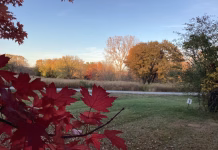Iowa’s fall color show is nearing the peak