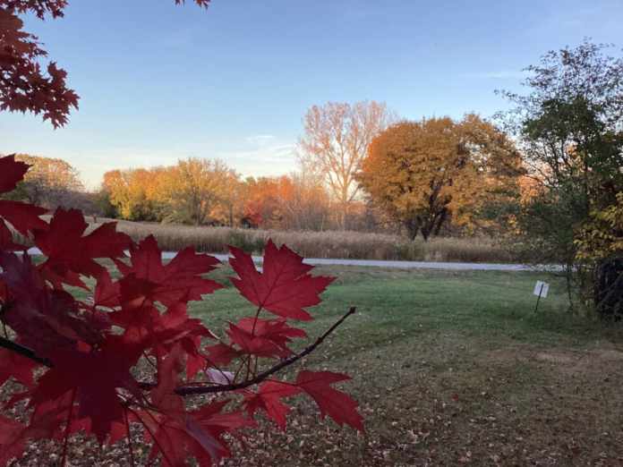 Fall-leaves-National-Weather-Service-photo-980x735