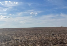 Farmland value expectations reach record high in latest Ag Economy Barometer