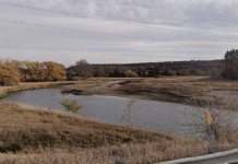 Manure discharge from feed lot in Cherokee County reaches tributary of Mill Creek