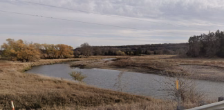 Manure discharge from feed lot in Cherokee County reaches tributary of Mill Creek