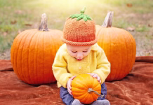 Pumpkin Patches Within Driving Distance of Ottumwa