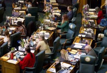 A record number of women are running for state legislatures this year