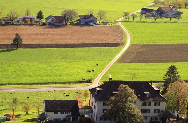 fields-7576734_640