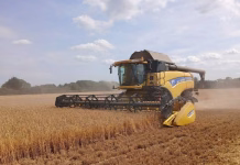 Dry weather helps northwest Iowa farmers make up harvest progress