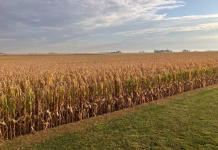 Iowa growers seeing encouraging yield reports