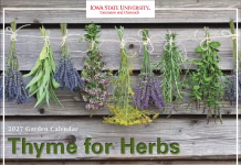 “Thyme for Herbs” features seasonal gardening tips and extension resources